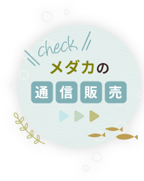 メダカの通信販売