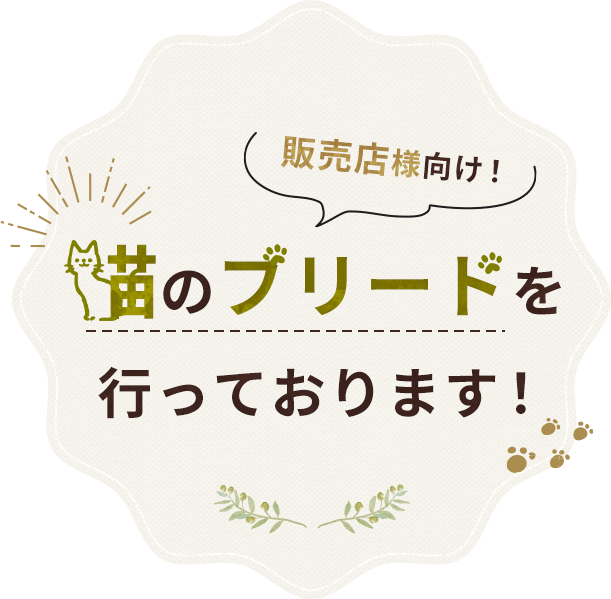 販売店様向け！猫のブリードを行っております！